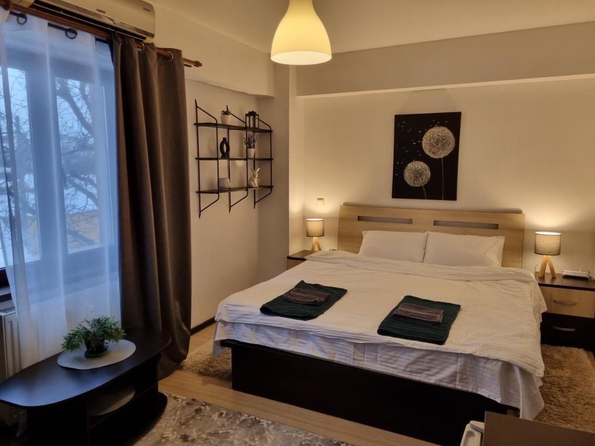 Central & Comfy, Peaceful Apt In Iasi Buitenkant foto