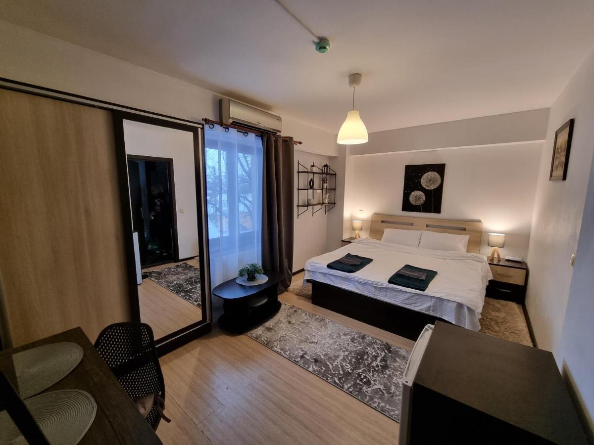 Central & Comfy, Peaceful Apt In Iasi Buitenkant foto